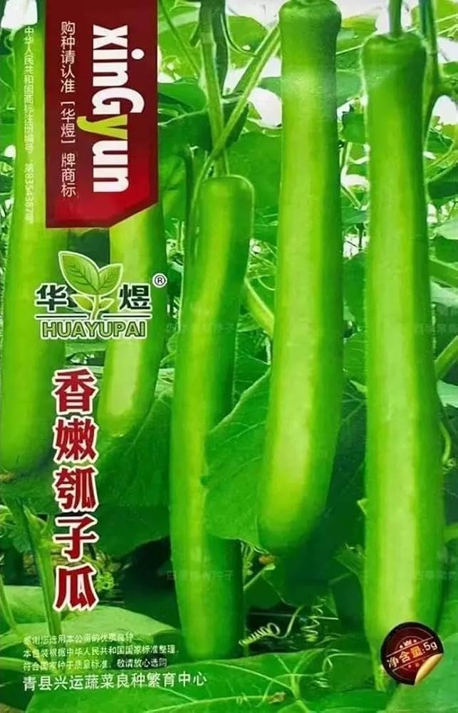 【中古】 ぼく野菜人 自分で種まき、育て、食べようよ！/光文社/大泉滉 ぼく野菜人: 自分で種まき、育て、食べようよ (カッパ・ブックス